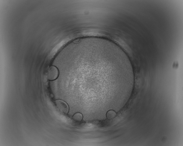 X0000112010111200908171452