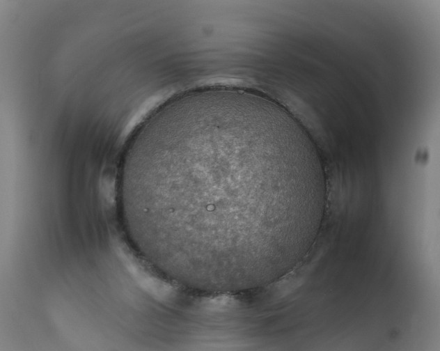 X0000112010112200908171452