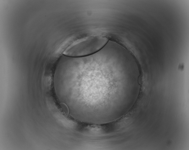 X0000112010113200908171452