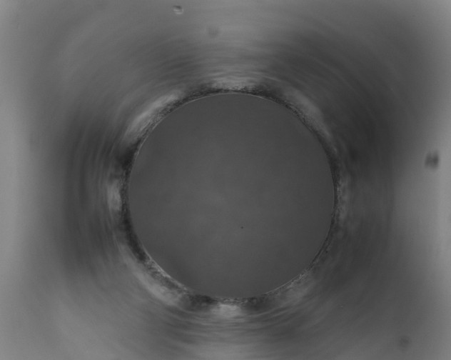 X0000112010114200908171452