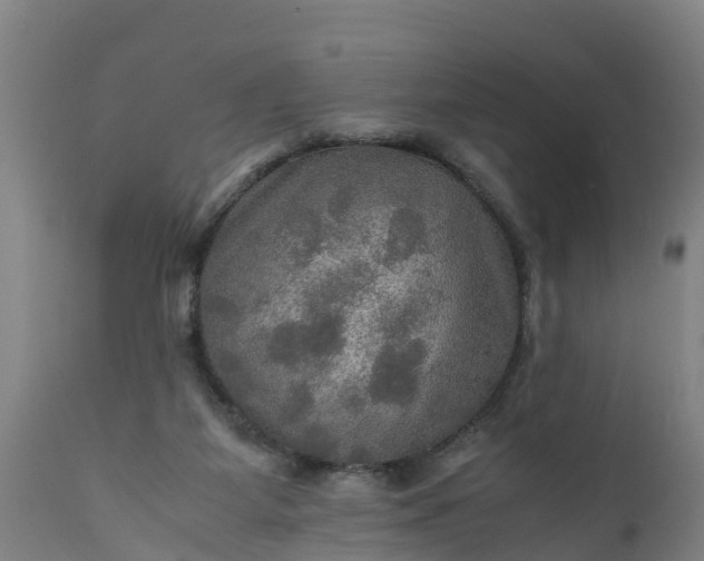 X0000112010115200908171452