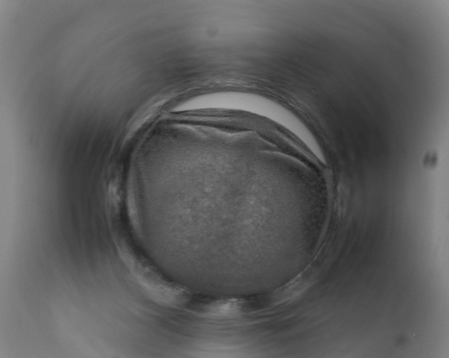 X0000112010116200908171452