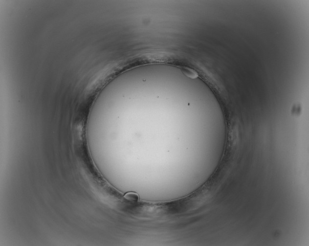 X0000112010117200908171452