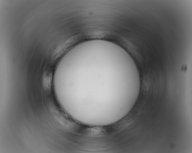 X0000112010118200908171452