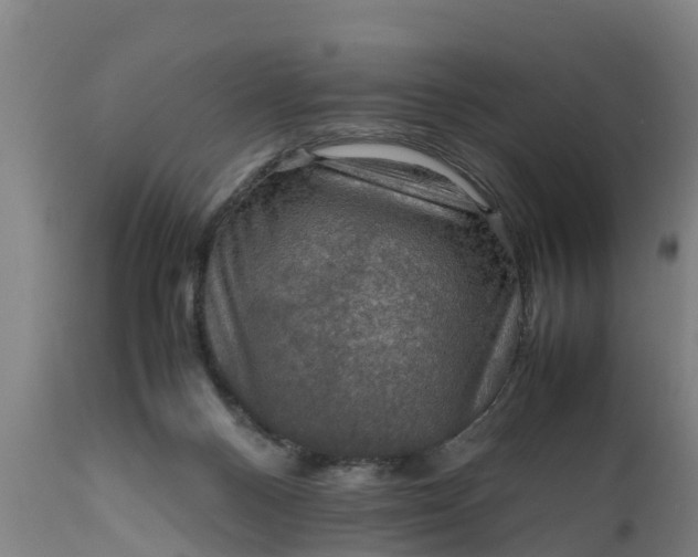 X0000112010120200908171452