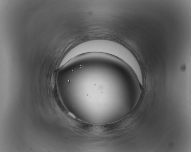 X0000112010121200908171452