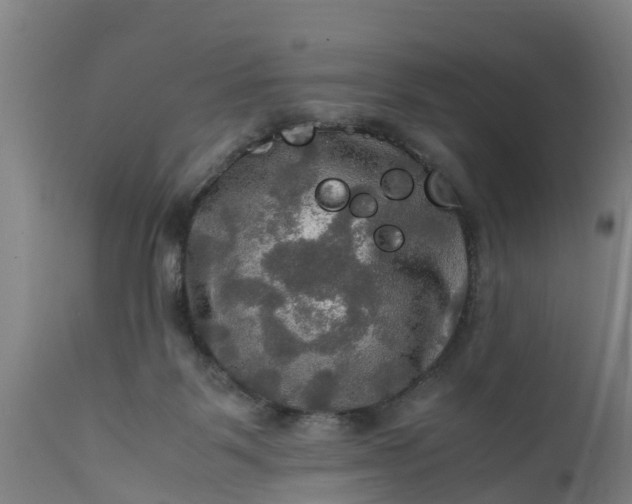 X0000112010123200908171452