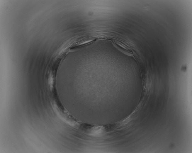 X0000112010124200908171452