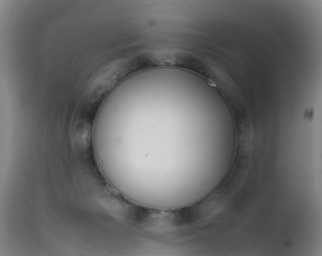 X0000112010125200908171452