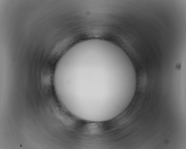 X0000112010126200908171452