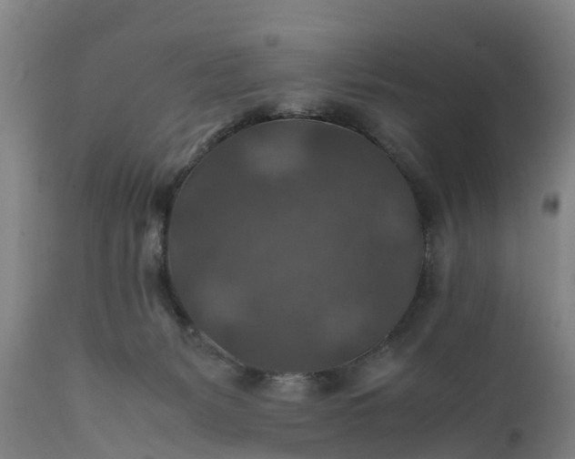 X0000112010127200908171452