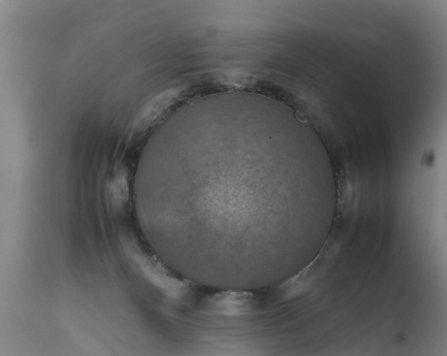 X0000112010128200908171452