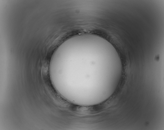 X0000112010129200908171452