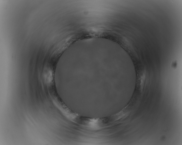 X0000112010130200908171452