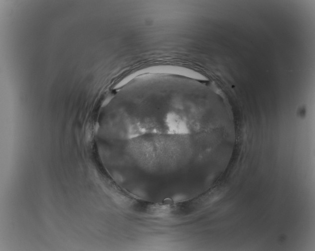 X0000112010131200908171452