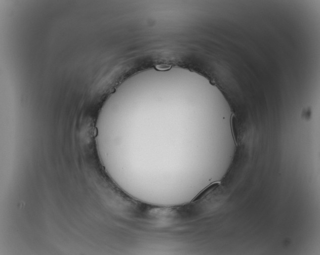 X0000112010133200908171452