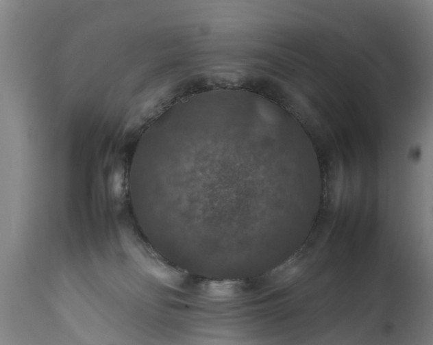 X0000112010134200908171452