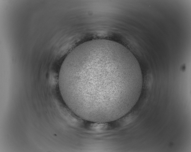 X0000112010135200908171452