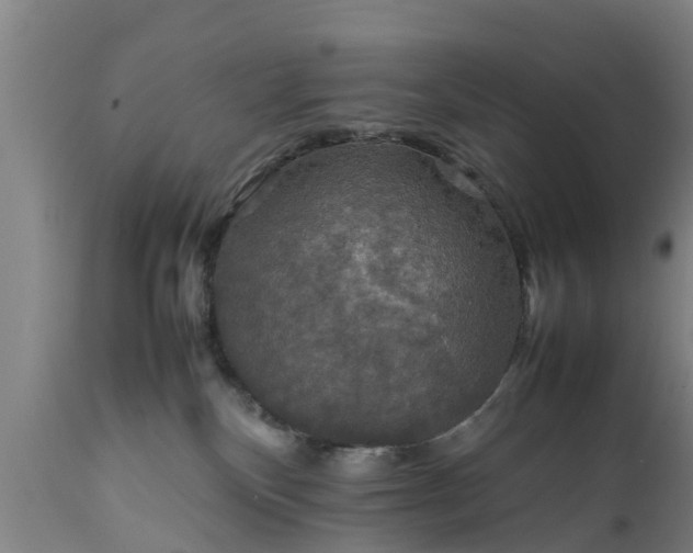 X0000112010136200908171452