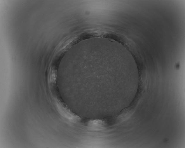 X0000112010137200908171452