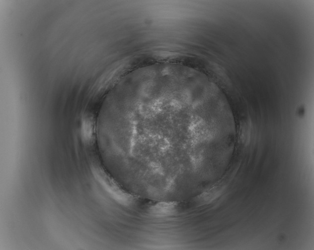 X0000112010138200908171452