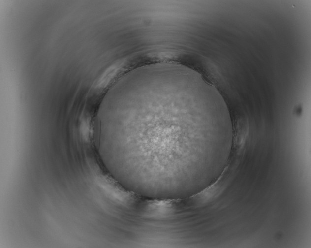 X0000112010140200908171452