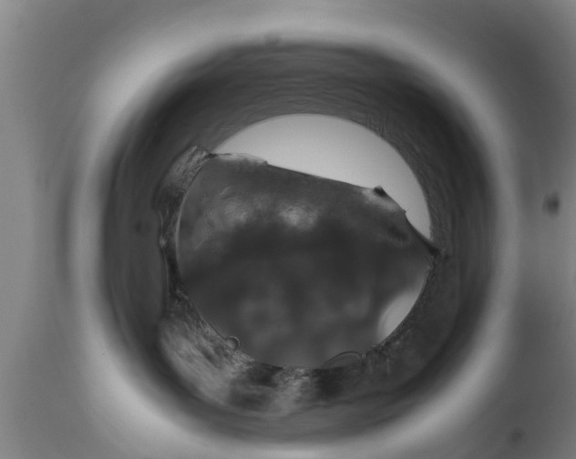 X0000112010143200908171452