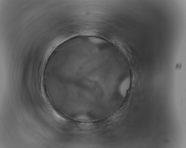 X0000112010145200908171451