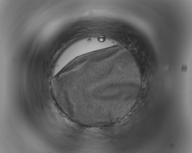 X0000112010146200908171451