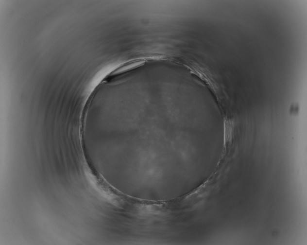 X0000112010147200908171451