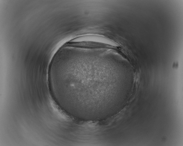 X0000112010148200908171451