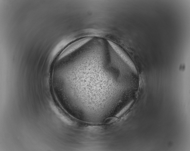 X0000112010150200908171451