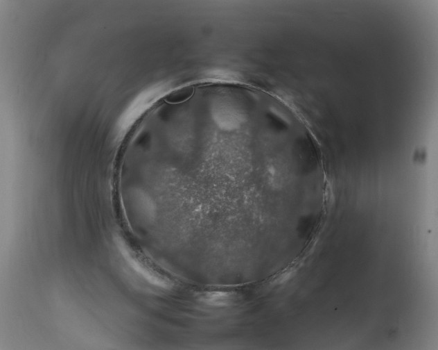 X0000112010151200908171451