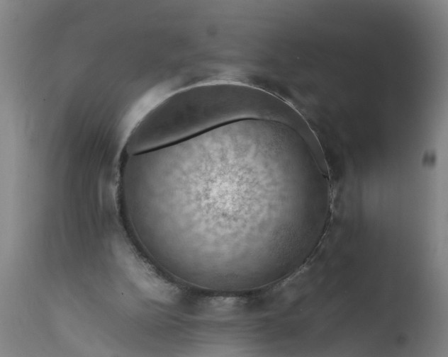 X0000112010152200908171451