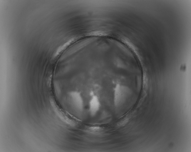 X0000112010153200908171451