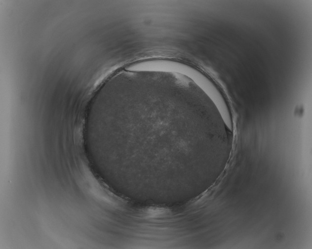 X0000112010154200908171451