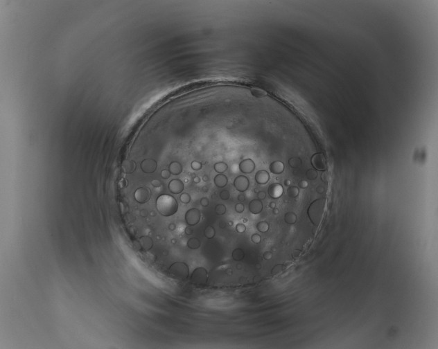 X0000112010155200908171451