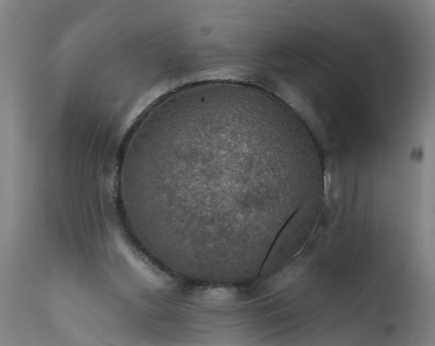 X0000112010156200908171451