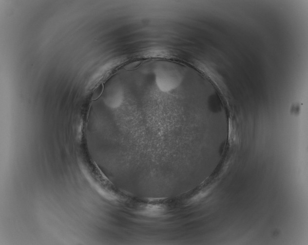 X0000112010157200908171451