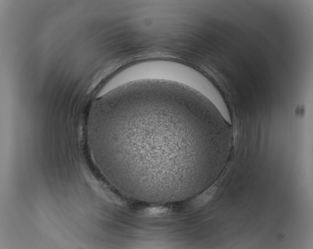 X0000112010158200908171451