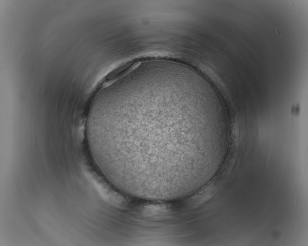 X0000112010160200908171451