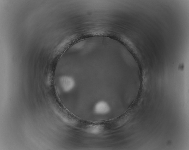 X0000112010161200908171451