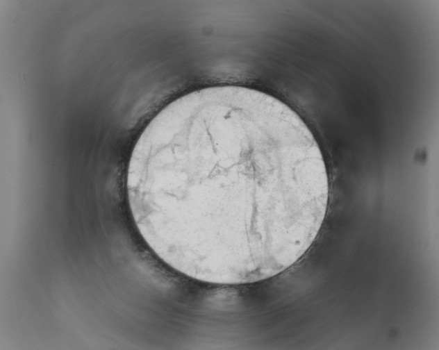 X0000112010162200908171451