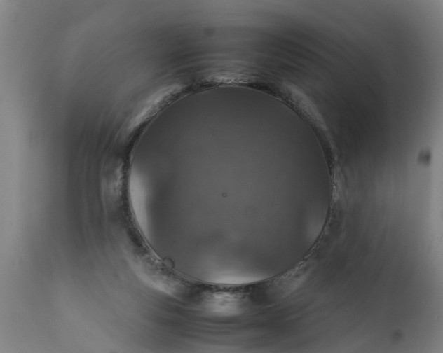 X0000112010163200908171451