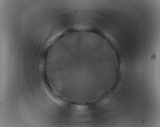 X0000112010165200908171451