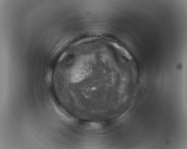 X0000112010166200908171451