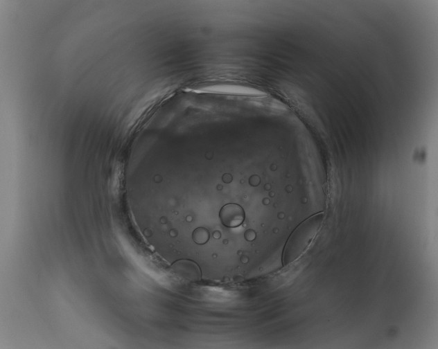 X0000112010167200908171451