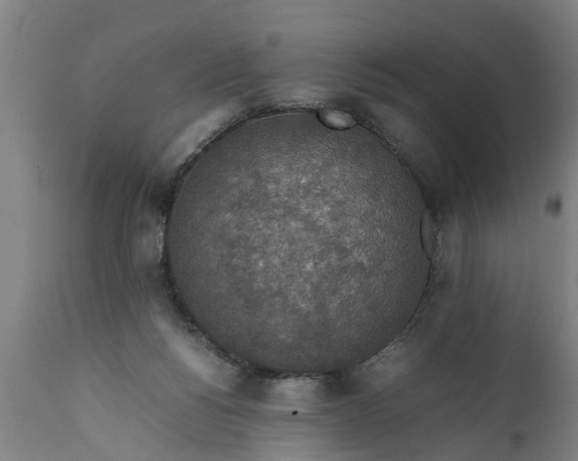 X0000112010168200908171451