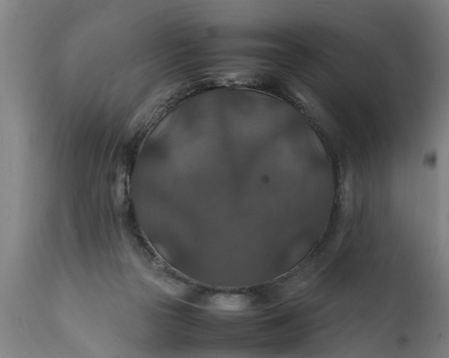 X0000112010169200908171452