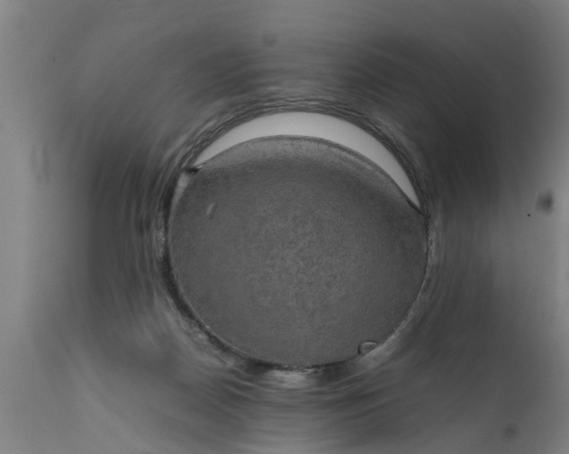 X0000112010170200908171452